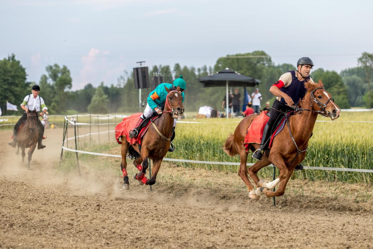 Pomurski galop.jpg